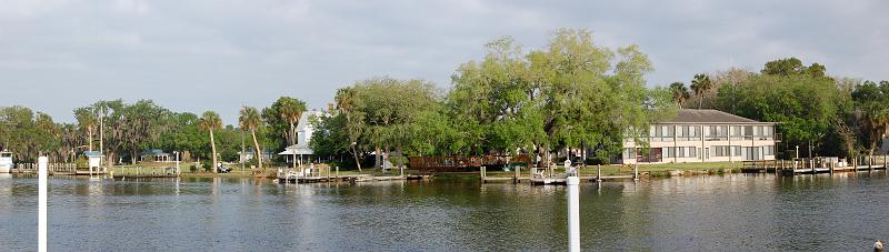360. homosassa multipla.JPG